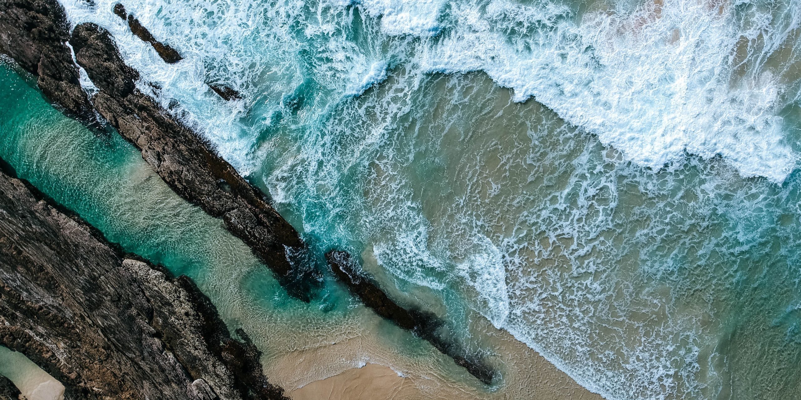 pexels-damon-hall-1310044