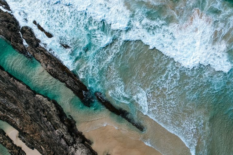 pexels-damon-hall-1310044